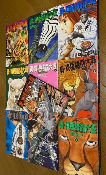 진 이종격투기전 대전 전 10권 카드 없음