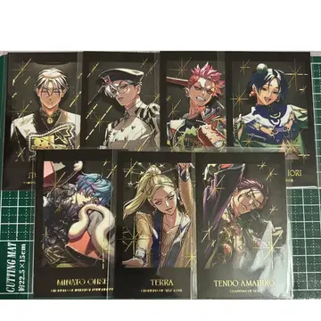 카리스마 폴라로이드