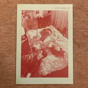 Love in the big city 팜플렛