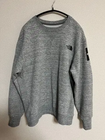 THE NORTH FACE 맨투맨