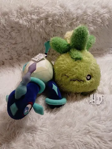 포켓몬 [ 테라파고스 미니부 ] 2종 2개 세트