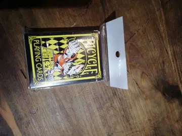 바이스클 카드놀이 세인트 세이야