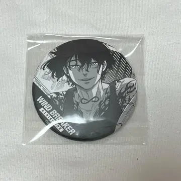 담당 재진토 캔뱃지