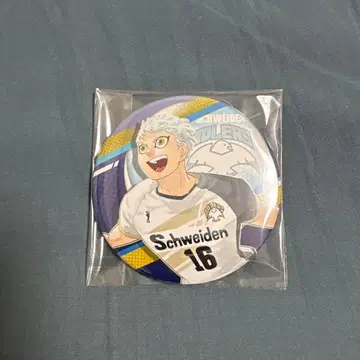 하이큐 호시우미 코라이 v리그 캔뱃지