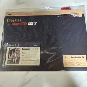 Stray Kids 승민 ID 카드 세트