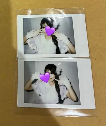 iLiFE! 순령 미키 수국 의상 란 폴라로이드 2장 세트