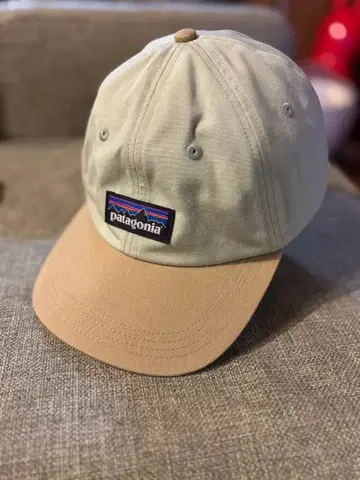 patagonia 캡