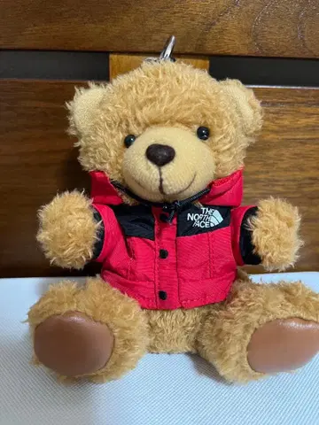 THE NORTH FACE 봉제 인형 키링