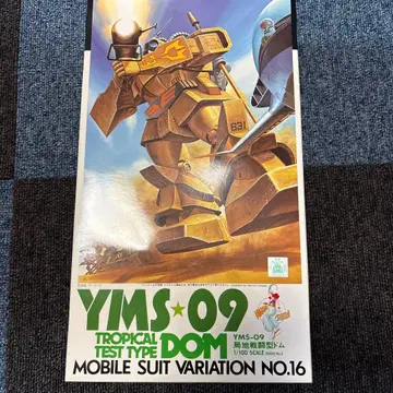 1/100 국지 전투형 돔 YMS-09 트로피컬 테스트 타입 레어품