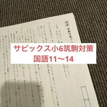 사피 초6 축 대책 국어 11~14