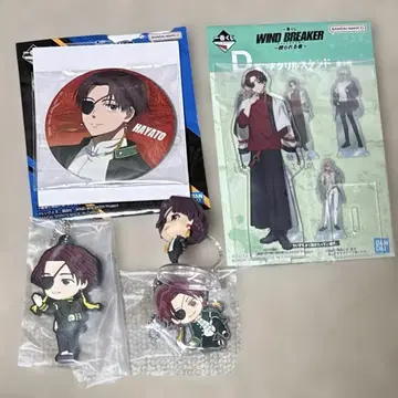 윈블 스오우 슌토