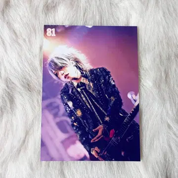 Rides In ReVellion 사진 폴라로이드