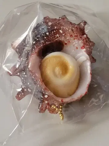 말랑말랑!? 열리는! 조개 구이 마스코트 소라