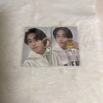 스키즈 SKZOO 부산 POPUP 한지성 트레이딩 카드