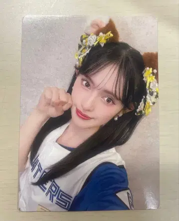 스다 아키 홋카이도 일본햄 파이터즈 유니폼 사진 트레이딩 카드