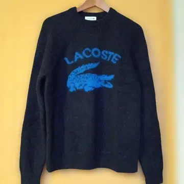 라코스테 남성용 니트
