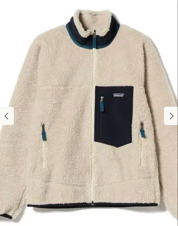 Patagonia 클래식 레트로X