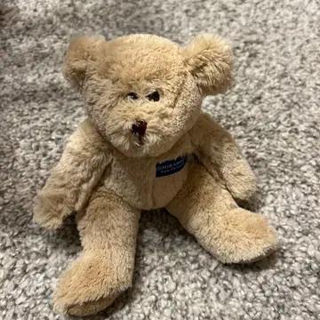 샌프란시스코 테디베어