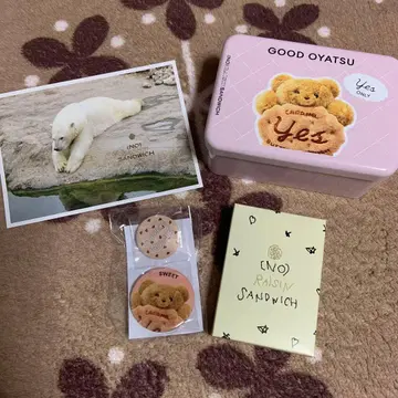 (NO)RAISIN SANDWICH 캔뱃지+캔