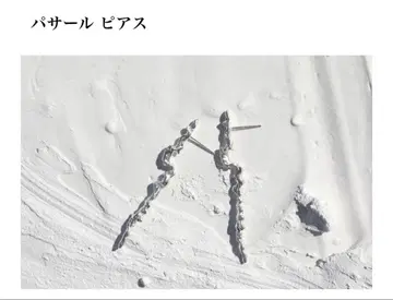 pluie 파사르 귀걸이 silver925