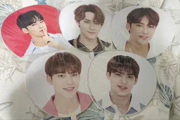 SEVENTEEN 민규 부채 5장 세트