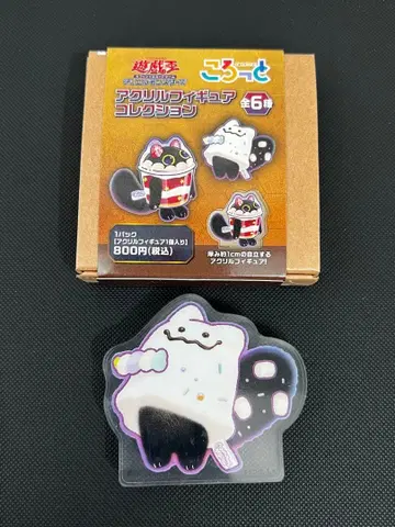 YCSJ2025 코롯토 마슈마오 야미