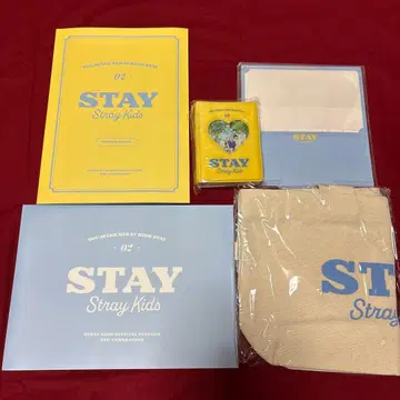 StrayKids 스키즈 본국 FC STAY 2기 키트