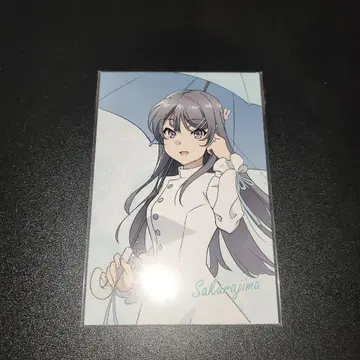 청춘 돼지 엽서