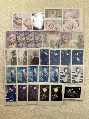 이레이스 쇼토 폴라로이드