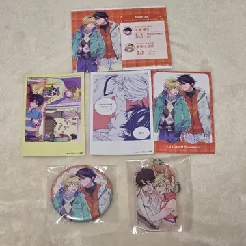 gateau전 2026 컴프 세트 + 구매 혜택 아리이메메코 선생님