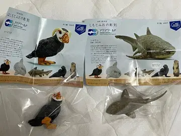 하시모토 미오 조각 아쿠아 월드 이바라키현 오아라이 수족관 2종