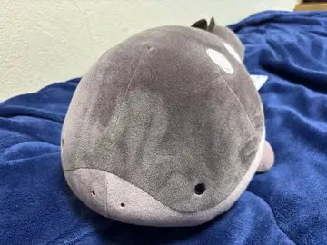 메챠모후굿토 봉제 인형 두오 포켓몬