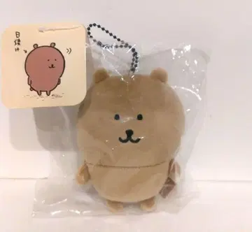 나가노의 곰 일광화상 곰 마스코트 봉제 인형 나가노 농담곰