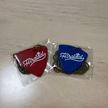 히라이 다이 2025 투어 피크