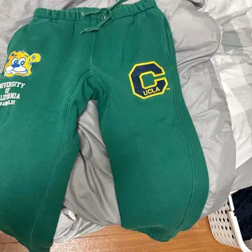 UCLA 그린 스웨트 팬츠