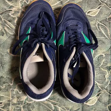 Mizuno 스포츠 슈즈 네이비/그린