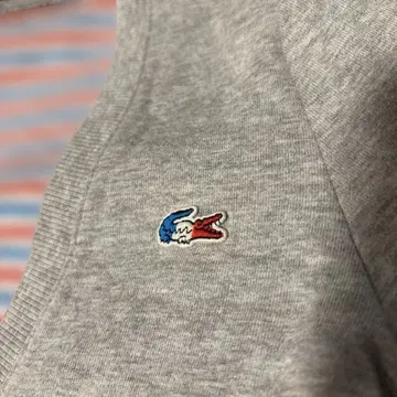 LACOSTE 그레이 가디건 38