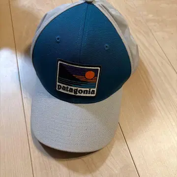 patagonia 야구 모자 파랑/그레이