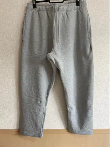 도카이 온에어 유메마루 BARK AT THE MOON