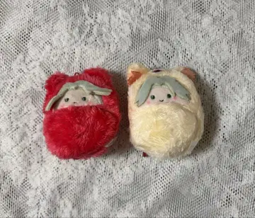 가정교사 히트맨 REBORN! 리본! 고쿠데라 하야토 꼬마 누이