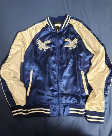 자수 디자인 스카잔 블루/실버