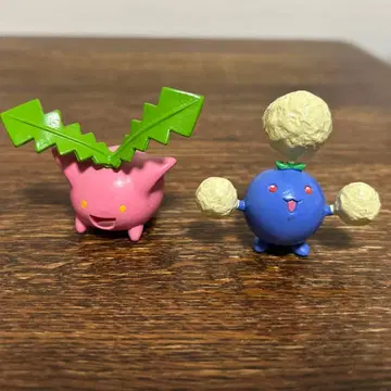 몬코레 초기 와타, 하네코