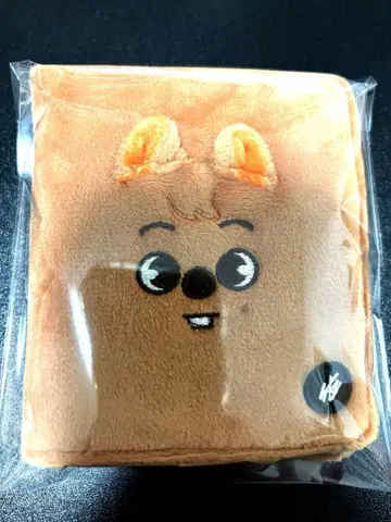 익명 배송 한 쿼카 사진 카드 케이스 팝업 SKZOO