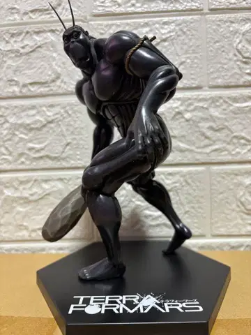 가격 인하 테라포머즈 블랙 피규어