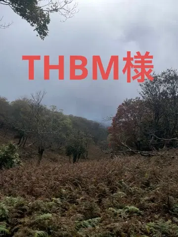 EU41 black/black THBM님