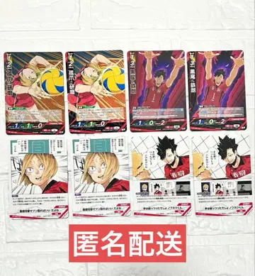 하이큐 바보카 스타터덱 네코마