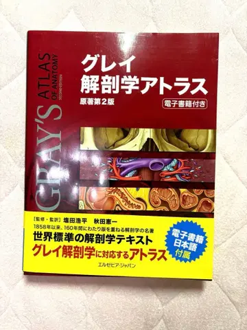 의학서 그레이 해부학 아틀라스 전자책 포함 원서 제2판