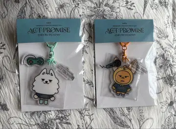 TXT PPULBATU 용문 팬춘 키링