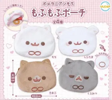 포메라니안 모찌 모후모후 파우치 컴프 세트