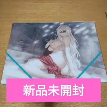 고블린 슬레이어 13권 토라노아나 특전 A4 클리어 플랫 케이스